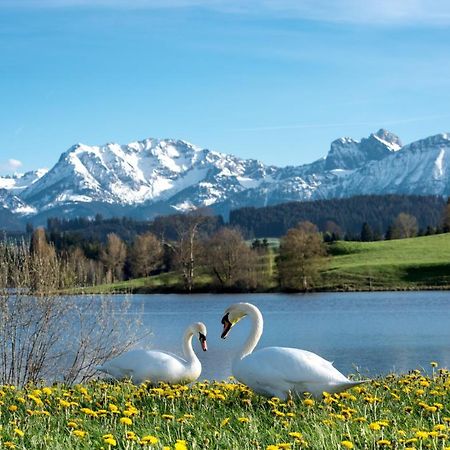 Direkt Am See Mit Bergblick Seeg Zewnętrze zdjęcie
