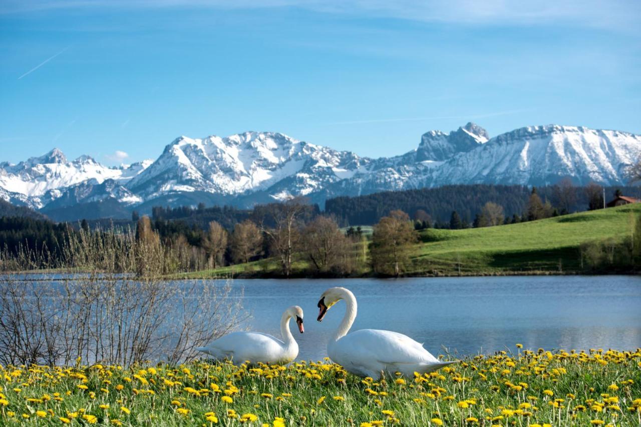 Direkt Am See Mit Bergblick Seeg Zewnętrze zdjęcie